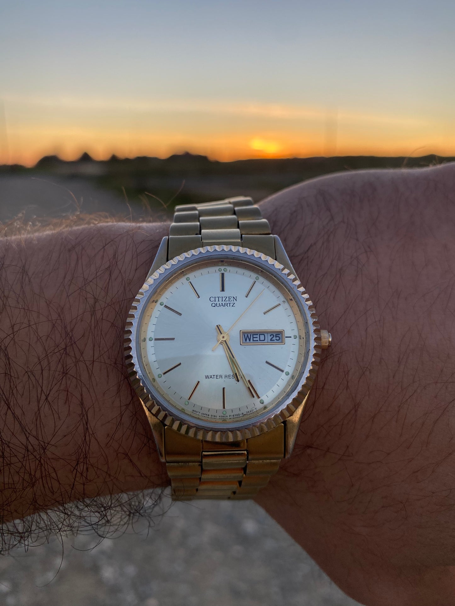 Citizen Day-Date Gold 90s